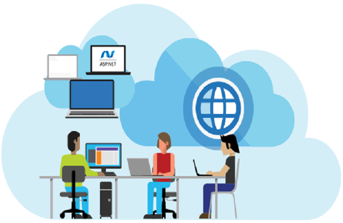 How Asp.net Web Development Company Professionals Can Help Your Business?