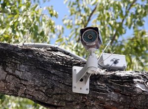 3 Effective Ways To Stop Intruders Using Home Security Devices