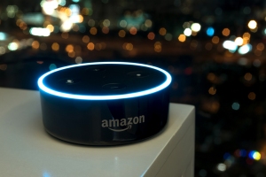 How Are Customized Amazon Alexa Skills Working In The Market?